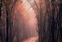 华体会:希罗骑马射箭打板得分,退防中比出too small的手势.