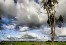 华体会:山东七人上双116-79狂胜新疆,高诗岩27+5+5,阿不都17+8+6.