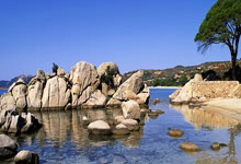 世预赛前瞻:国能否攻克“关键客场”?.